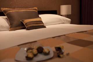 Отель Hotel Check Inn Тимишоара Улучшенный двухместный номер с 1 кроватью-1
